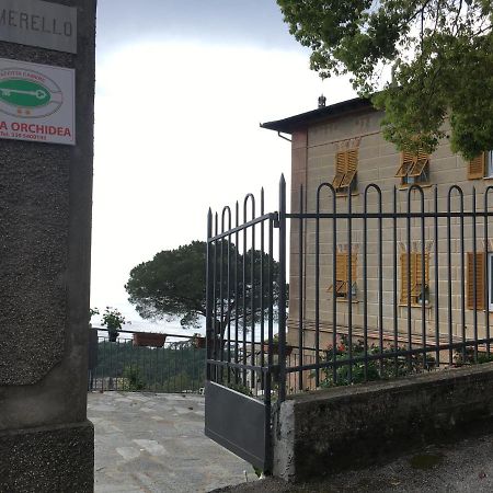 B&B Villa Orchidea カモーリ エクステリア 写真